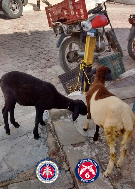 Imagem