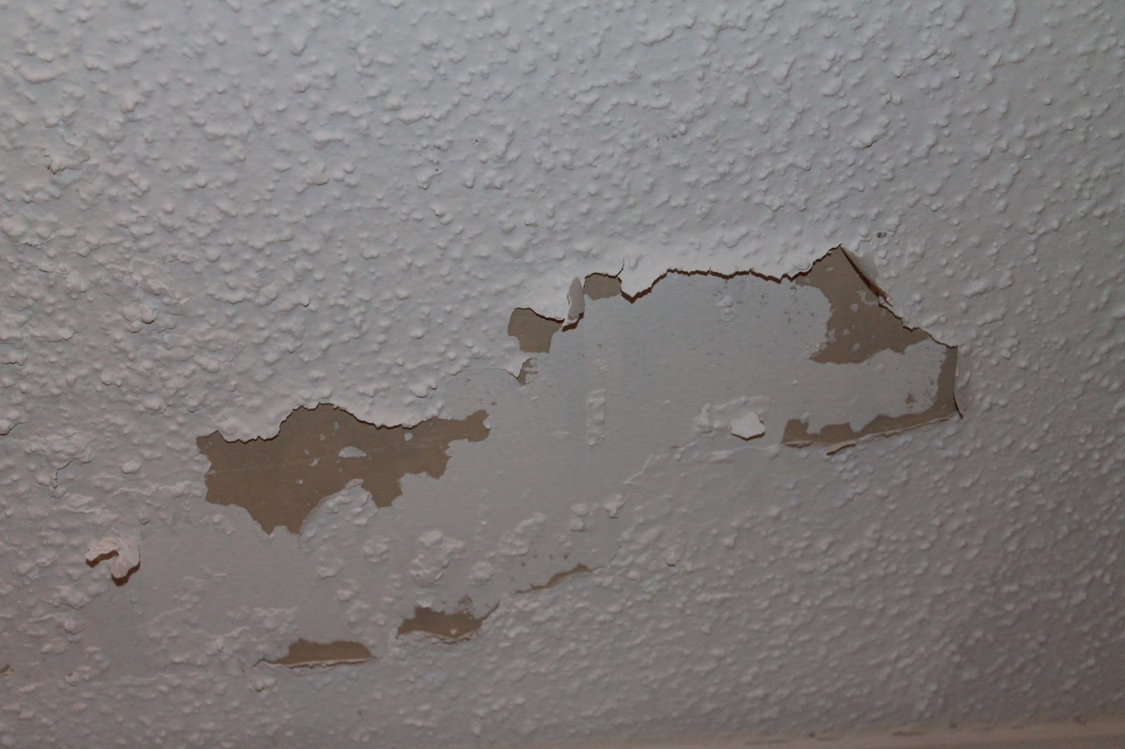 Asbestos In Ceilings Buying a House with Asbestos Ceilings? What you