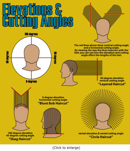 Degree Haircut