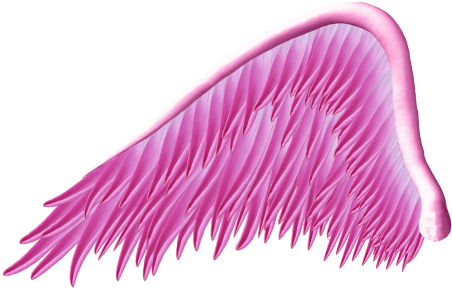 pink_angel_wing.png