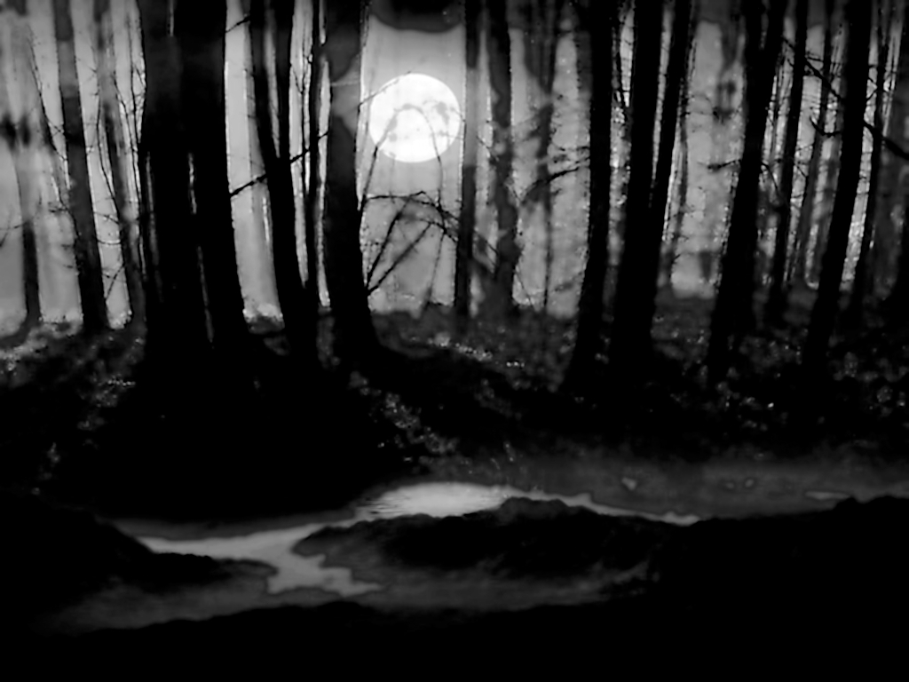 Темные. Запретный лес. Темный лес 2д. Страшный лес ночью настоящий.
