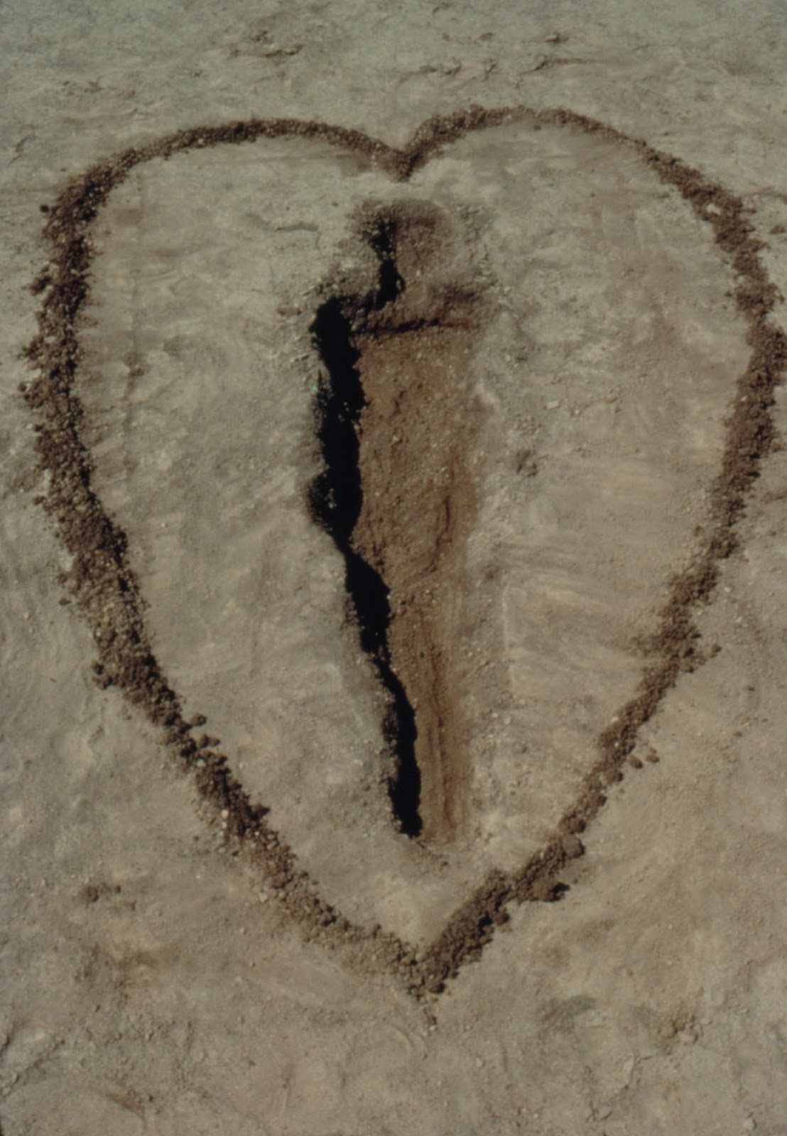 Ana mendieta earth art image