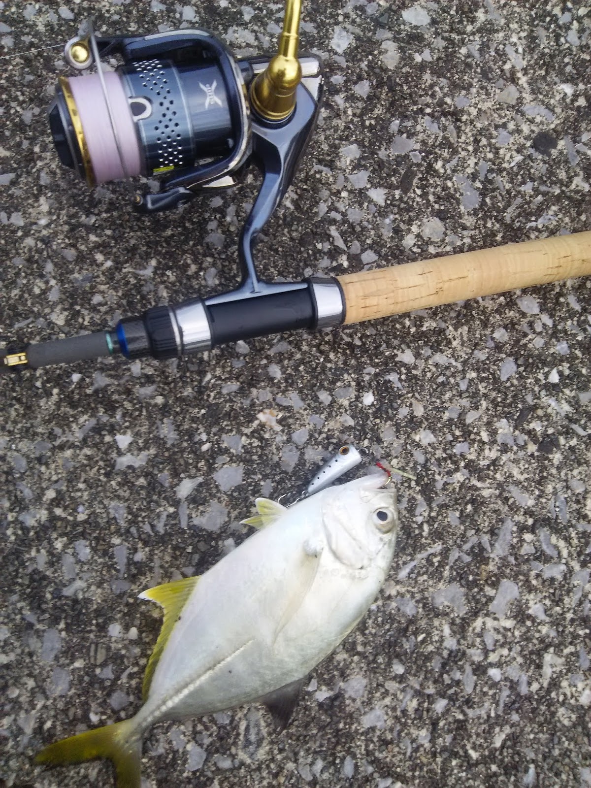 スミス ベイライナー BL-66M/CF サツキマスのミノーイングに最適