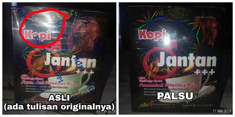 KOIP JANTAN ORIGINAL