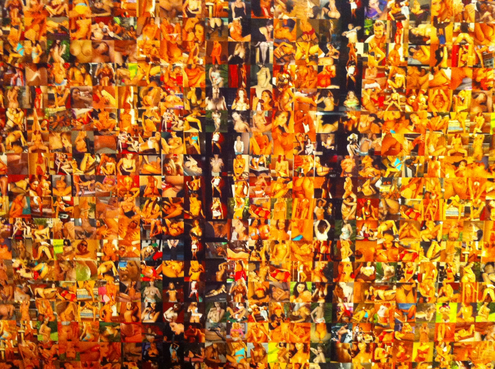 Lara Rhodes: Exhibition Cornerhouse- Rashid Rana