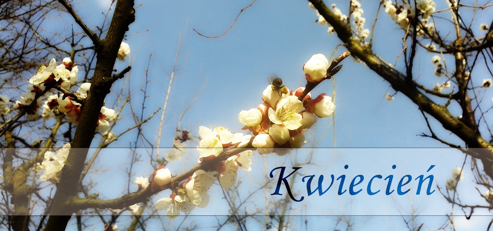 Kwiecien Kwiecien