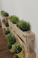 Pallets de madera reutilizados para colocar plantas