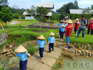 Kampung wisata agro sentul Wisata edukasi sentul