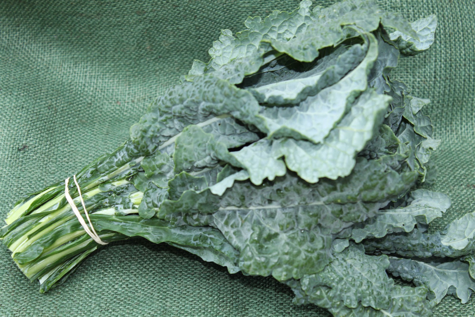 Pots and Frills Tuscan Kale Frittata