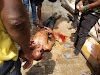 Political War Breaks Out In Warri, Delta. Residents Killed. Graphic Pics