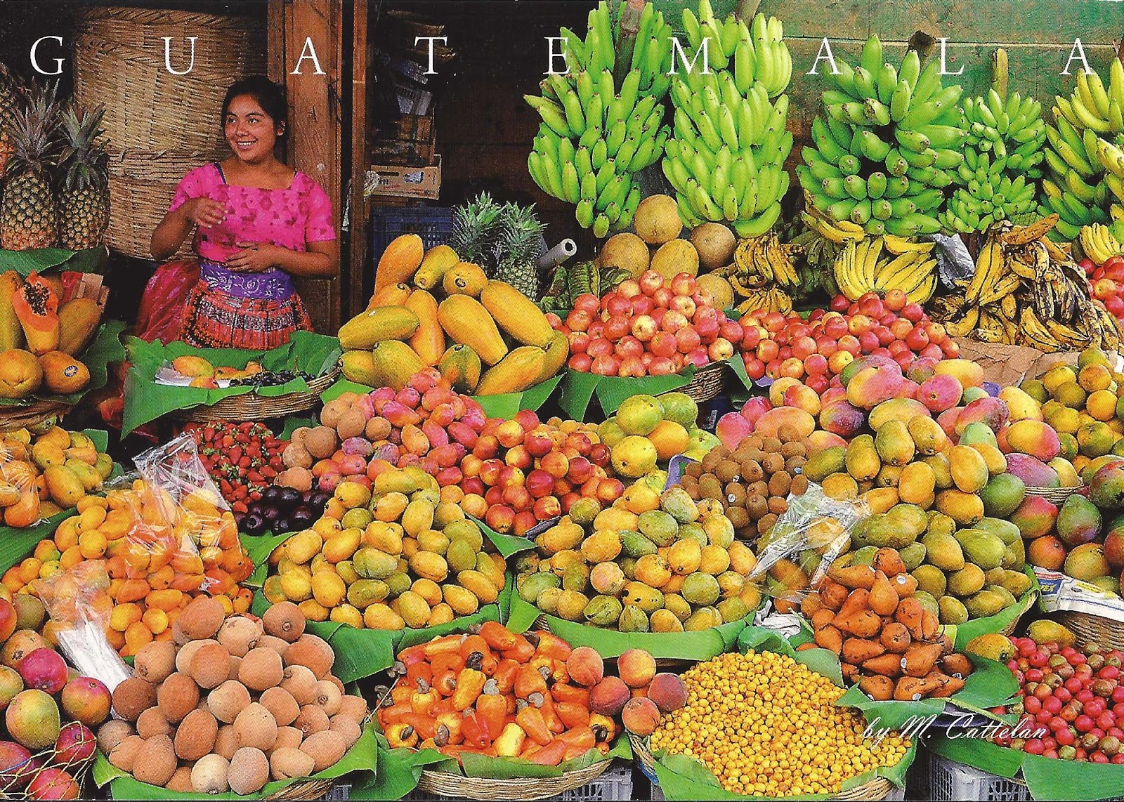 Фрукты Гватемалы Фото С Названиями Telegraph