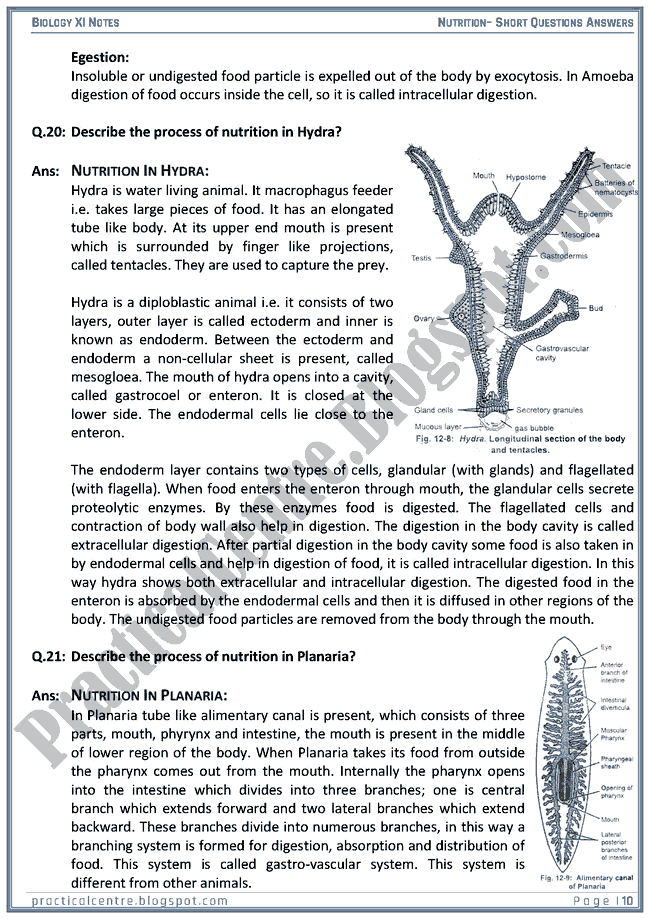 nutrition-short-questions-answers-biology-xi