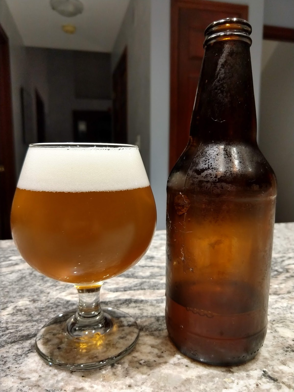Centennial Blonde Ale 1.0
