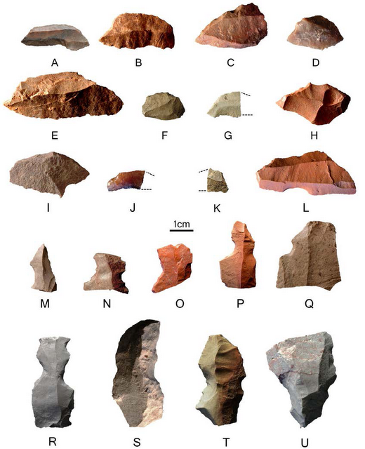 paquete Comida sana Sacrificio Homo Sapiens utilizaba técnicas avanzadas de fabricación de herramientas  hace 71.000 años en Sudáfrica