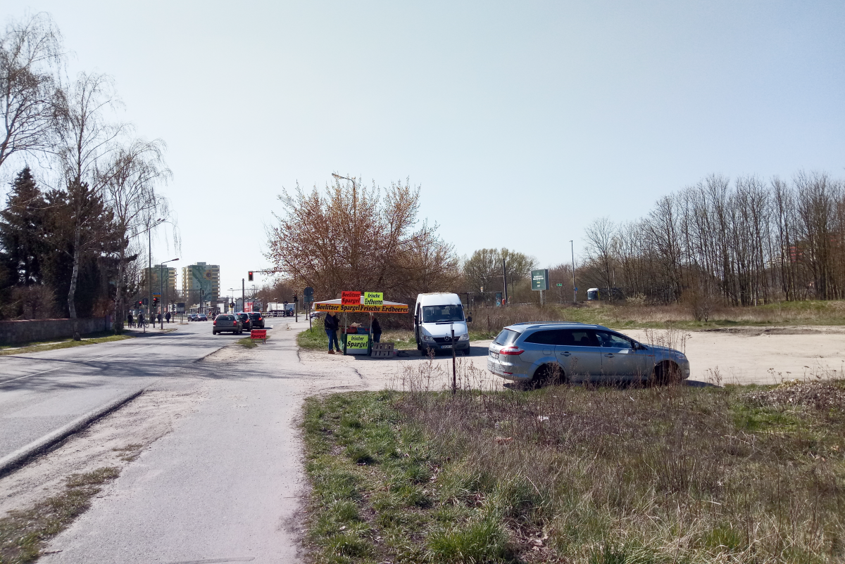 Spargel Auf Salat Mit Pflaumendressing Glatzkoch De