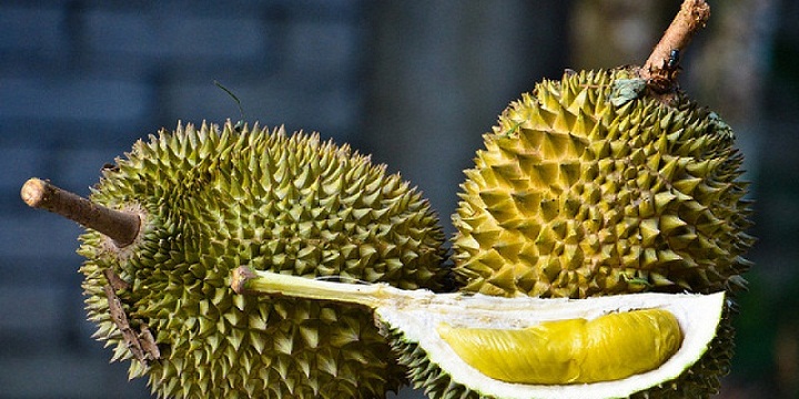 Berapa Banyak Orang Indonesia Mengonsumsi Durian? Berapa Banyak Orang Indonesia Mengonsumsi Durian?