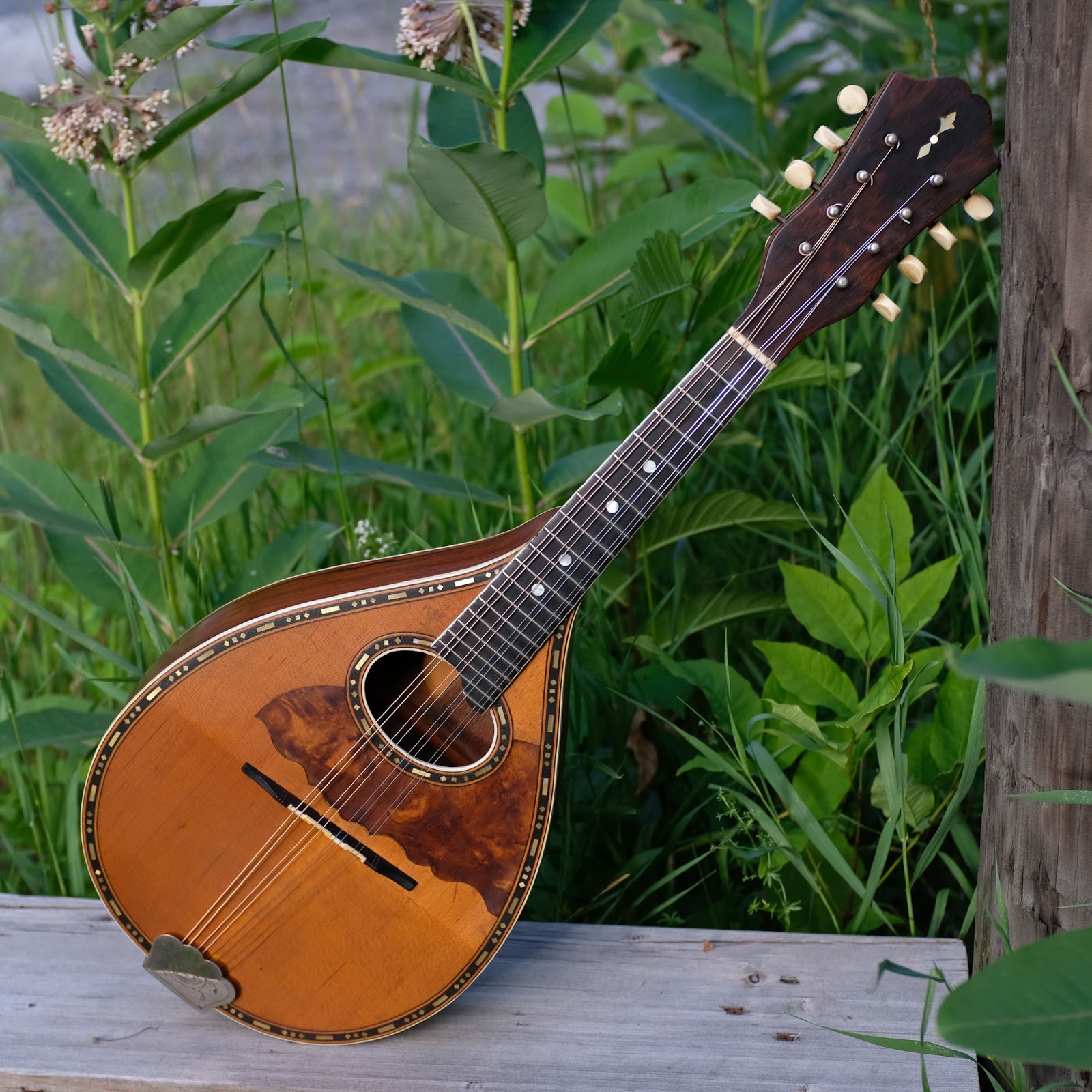 1910s Larson Brothersmade Fancy Flatback Mandolin