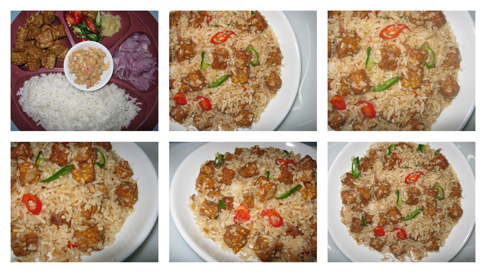 DAUN KARI Masakan Malaysia..... NASI GORENG TEMPEH