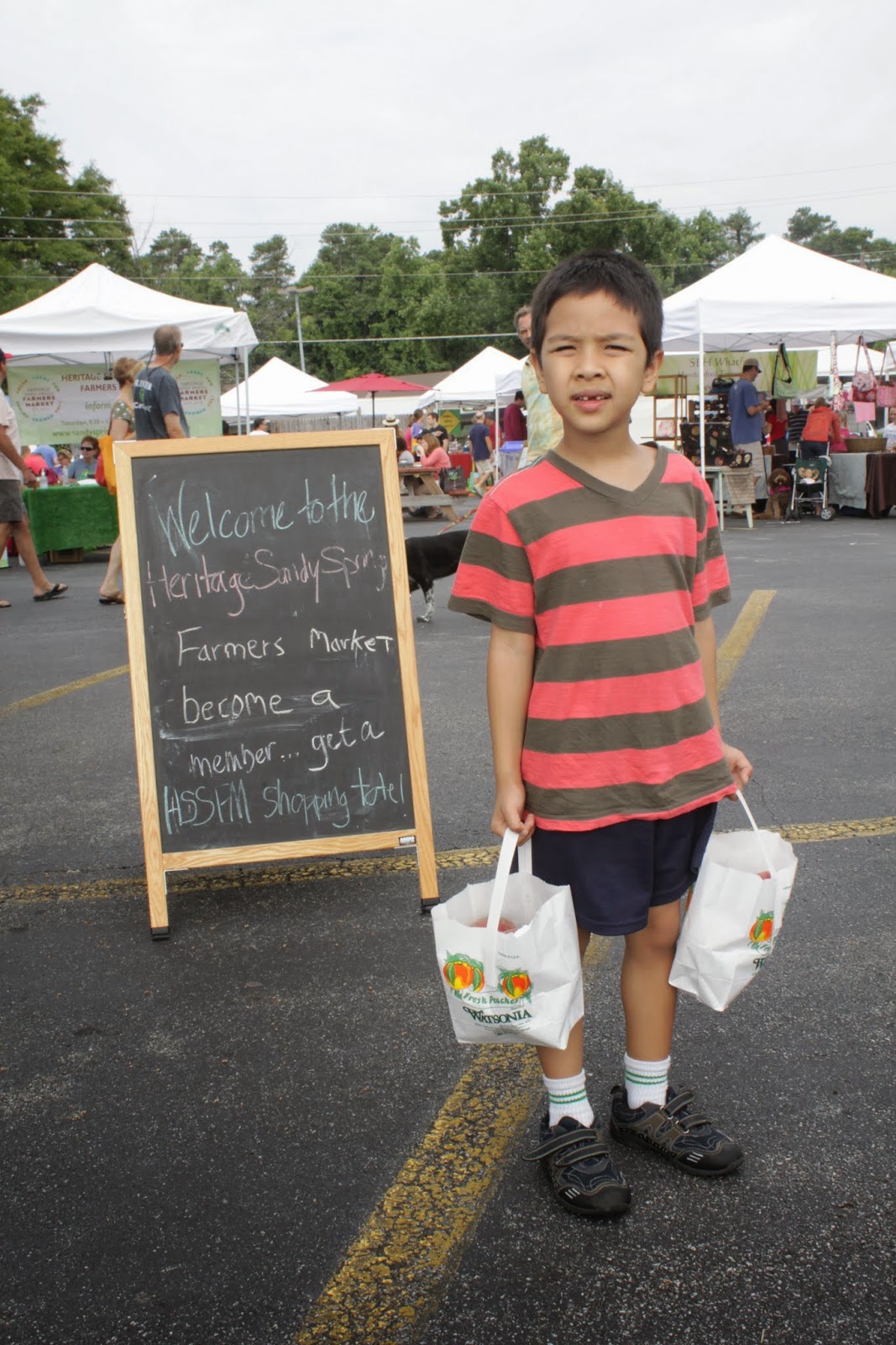 Sandy Springs Farmers Market + Big Trees Forest Preserve