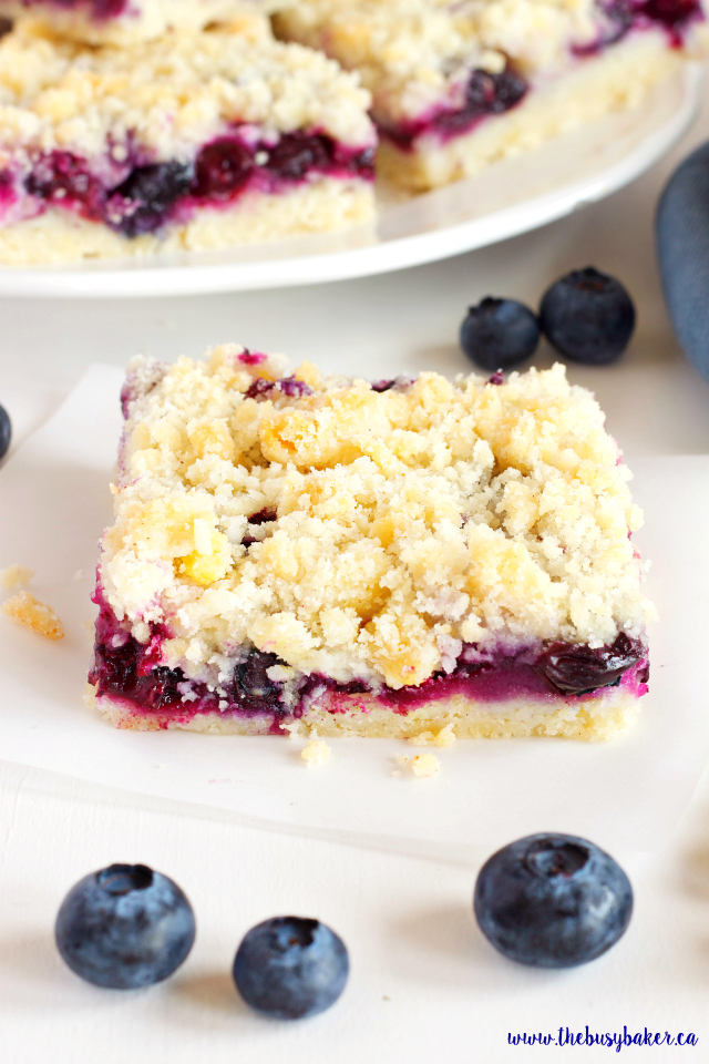 These Best Ever Blueberry Crumb Bars are the perfect sweet snack! Recipe from www.thebusybaker.ca!