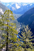 Eightyone miles of the Merced River runs through Yosemite National Park, .