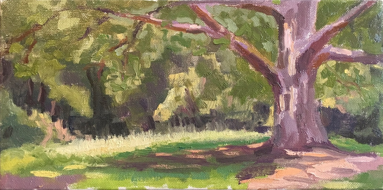 A Visual Painting Journal By Erik Bohn Old Oak Tree Lake Fairfax Ii
