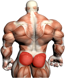 Ejercicios para aumentar masa muscular en los gluteos