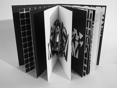 C A M O U P E D I A: Stephen Hobbs | Camouflage Pop-Up Book