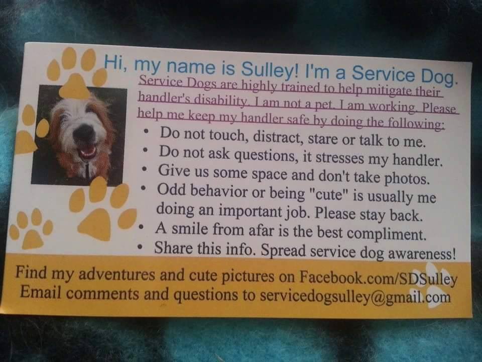 Growing Up Guide Pup Why I call my service dog medical equipment