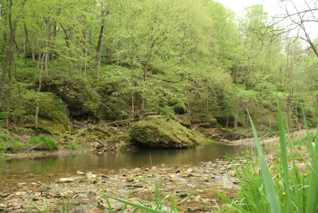 Currents Iowa Trout Streams
