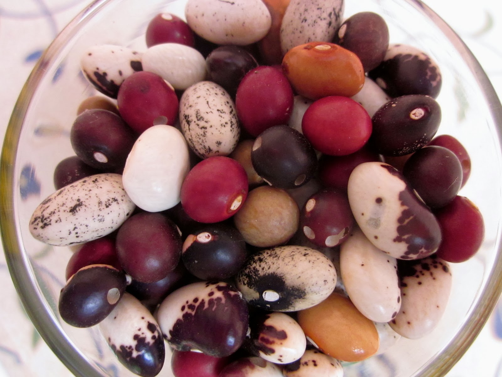 Wandering Words Peanut beans