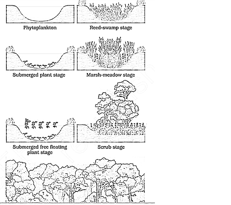 Standard Note Succession standard-note-succession