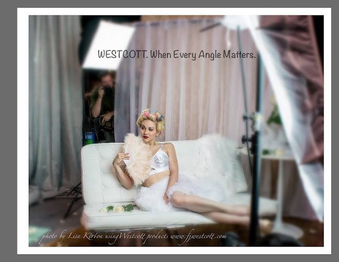 My "fave shot" for Westcott Exposure 2012 Shootout Competition