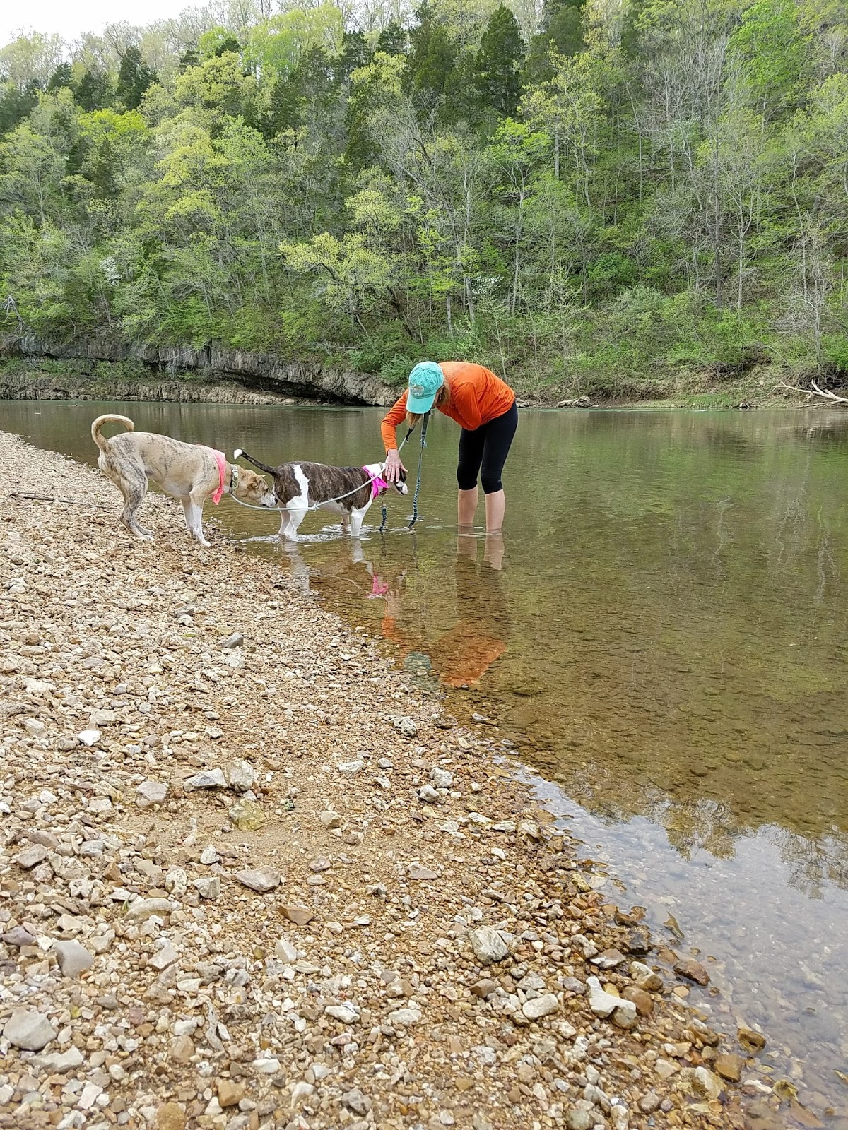 Monkey See Monkey DIY Meramec State Park Canoe Trip