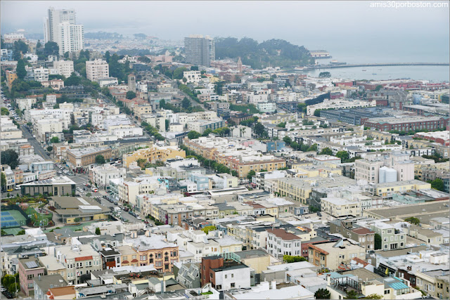 Vistas de San Francisco desde el Observatorio de la Torre Coit 