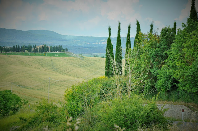 _DSC0911%2B%25282%2529.JPG