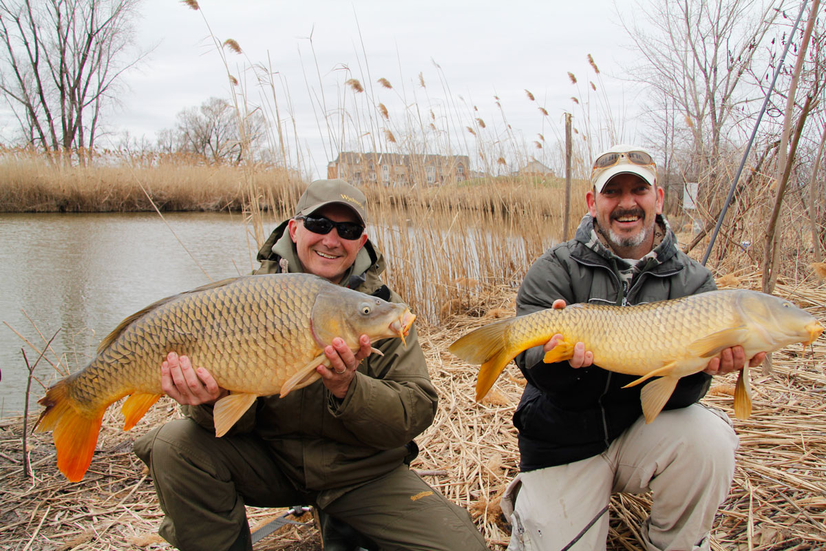 Canadian carp fishing 2012