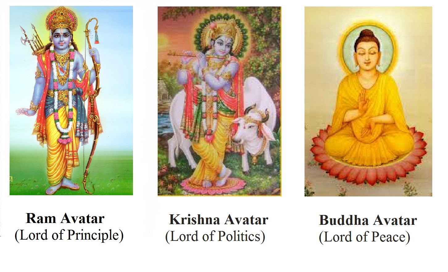 Vishnu Avatars & Evolution