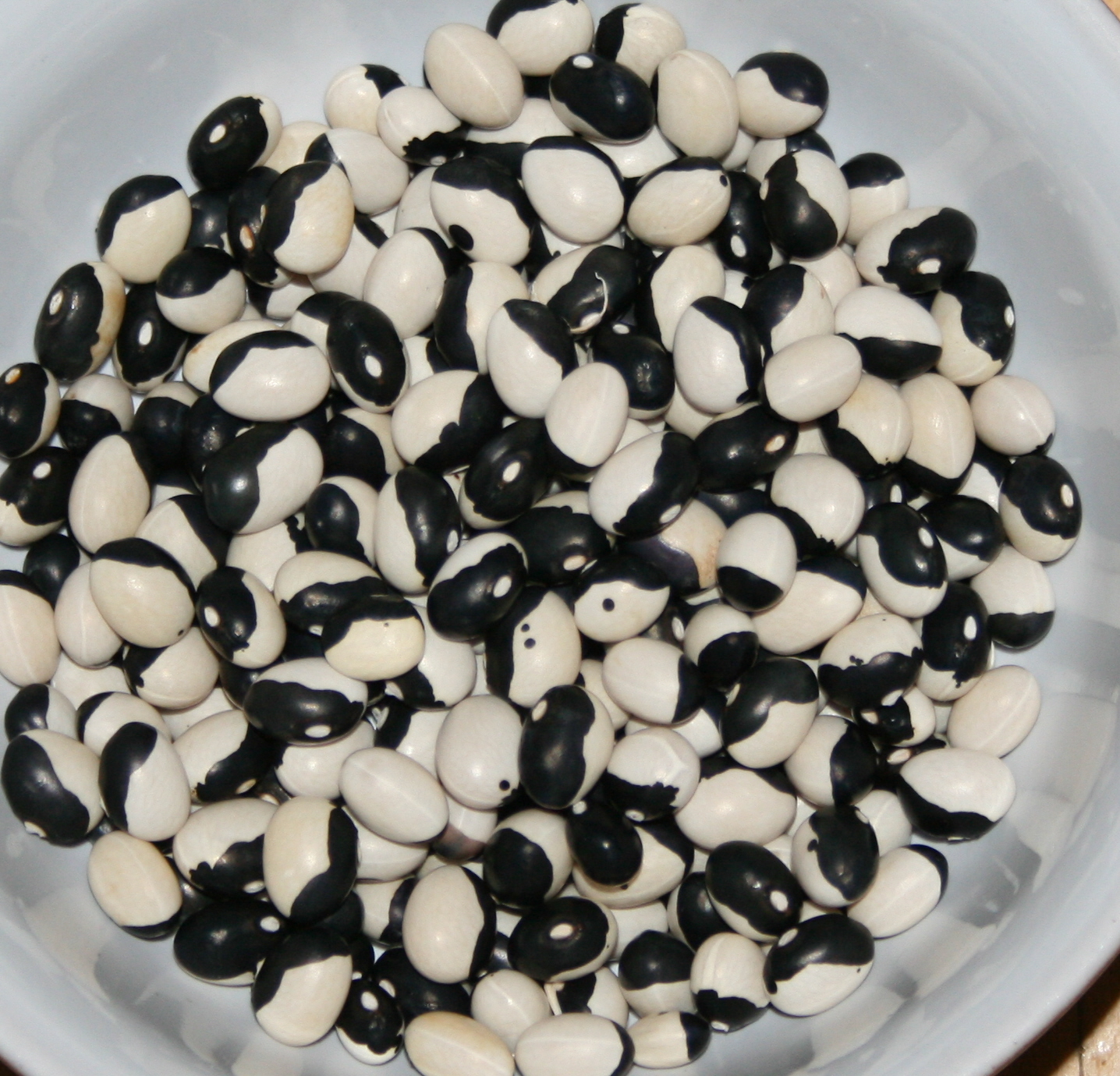 Allotment From Plan to Plot to Platter Growing and Using Beans for