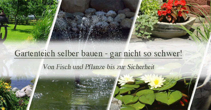 31+ Welche Pflanze Schmückt So Manchen Gartenteich, Der europäische