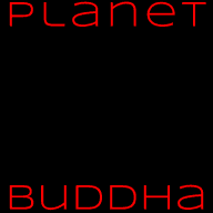 Find me at Planet Buddha!