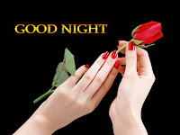 good night message, best wishes photo for good night with girl hand holding a beautiful red rose