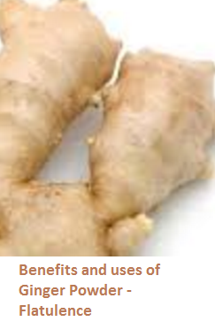 Benefits and uses of Ginger Powder - Flatulence