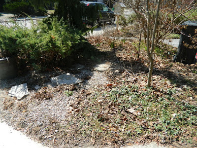 Parkdale front garden spring cleanup before by Paul Jung Gardening Services Toronto Parkdale front garden spring cleanup before by Paul Jung Gardening Services Toronto