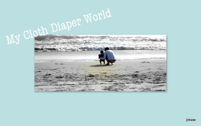 My cloth diaper world