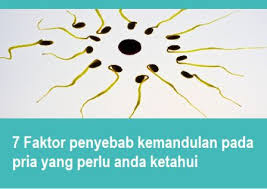 7 Faktor penyebab kemandulan pada pria yang perlu anda ketahui  Maobati