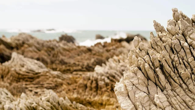 2 weeks in New Zealand: rocks at Kaikoura on the South Island