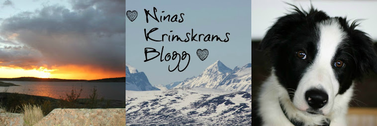                                                                             Ninas Krimskrams Blogg