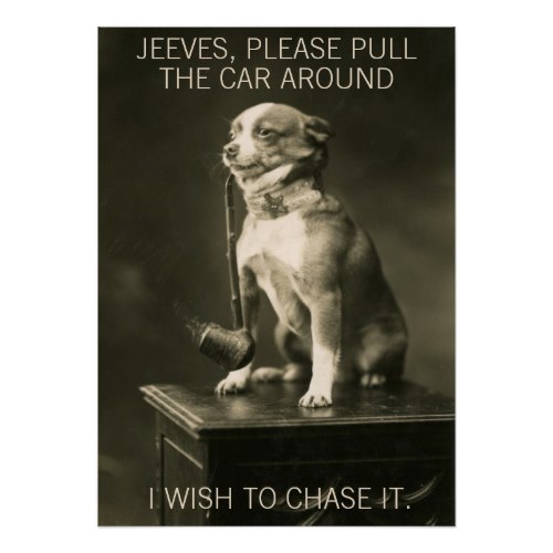 Chihuahua Smoking a Pipe | Funny Photo Poster