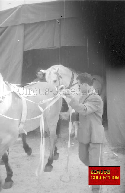 Sortie de piste et. du chapiteau des chevaux du Cirque Bouglione 1962